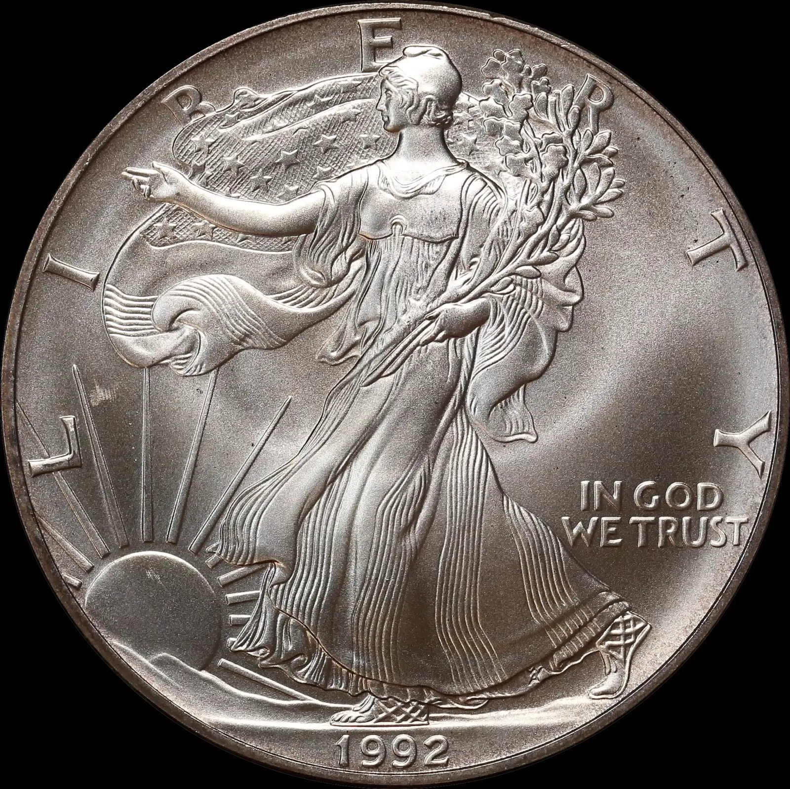 United States 1992 Silver 1oz Eagle product image